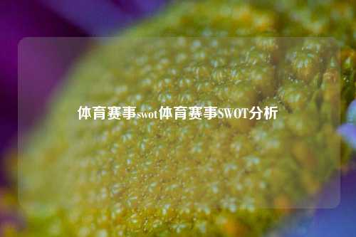 体育赛事swot体育赛事SWOT分析
