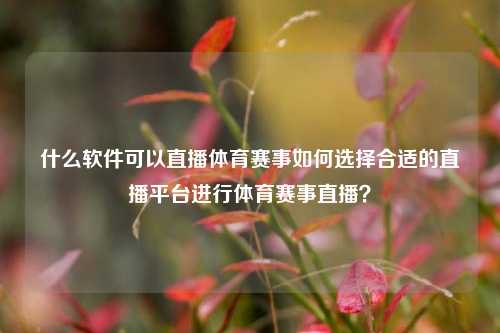 什么软件可以直播体育赛事如何选择合适的直播平台进行体育赛事直播？
