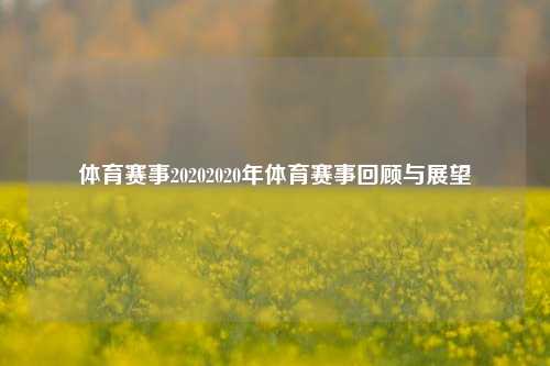 体育赛事20202020年体育赛事回顾与展望