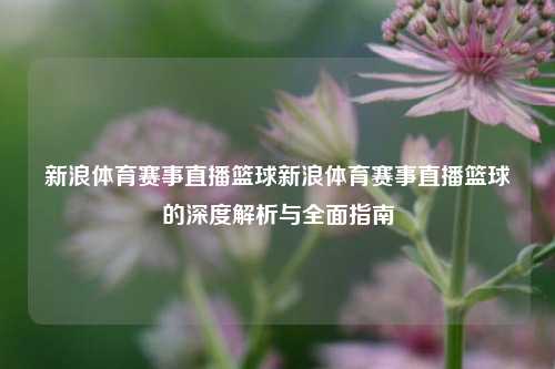 新浪体育赛事直播篮球新浪体育赛事直播篮球的深度解析与全面指南