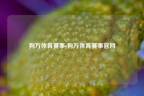 狗万体育赛事y狗万体育赛事官网