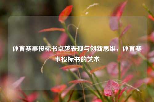 体育赛事投标书卓越表现与创新思维，体育赛事投标书的艺术
