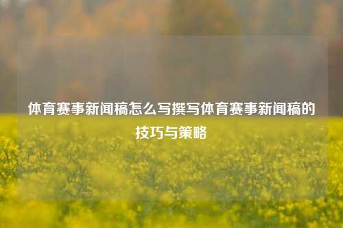 体育赛事新闻稿怎么写撰写体育赛事新闻稿的技巧与策略