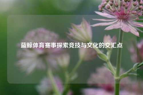 蓝鲸体育赛事探索竞技与文化的交汇点