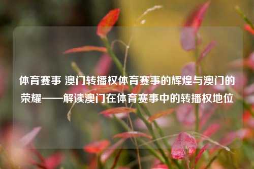 体育赛事 澳门转播权体育赛事的辉煌与澳门的荣耀——解读澳门在体育赛事中的转播权地位