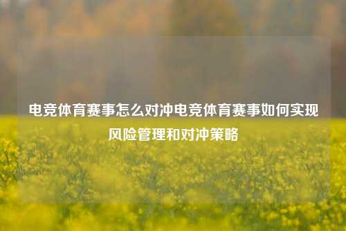 电竞体育赛事怎么对冲电竞体育赛事如何实现风险管理和对冲策略