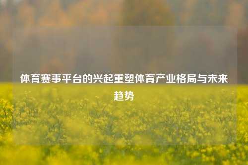 体育赛事平台的兴起重塑体育产业格局与未来趋势