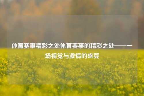 体育赛事精彩之处体育赛事的精彩之处——一场视觉与激情的盛宴