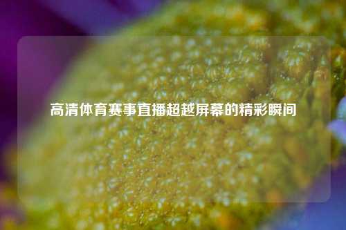 高清体育赛事直播超越屏幕的精彩瞬间
