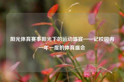 阳光体育赛事阳光下的运动盛宴——记校园内一年一度的体育盛会