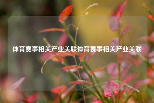 体育赛事相关产业关联体育赛事相关产业关联