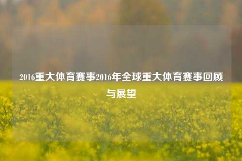 2016重大体育赛事2016年全球重大体育赛事回顾与展望