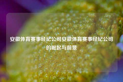 安徽体育赛事经纪公司安徽体育赛事经纪公司的崛起与前景