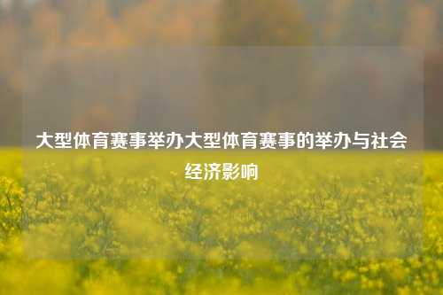 大型体育赛事举办大型体育赛事的举办与社会经济影响