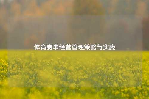 体育赛事经营管理策略与实践