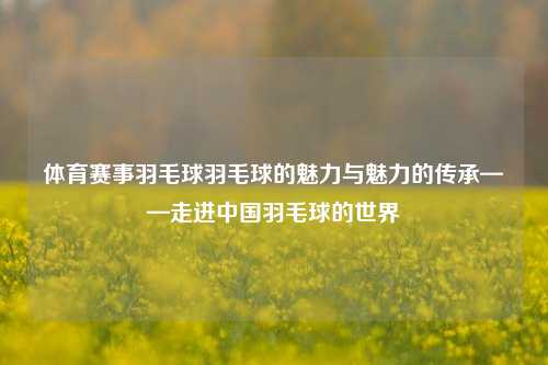 体育赛事羽毛球羽毛球的魅力与魅力的传承——走进中国羽毛球的世界