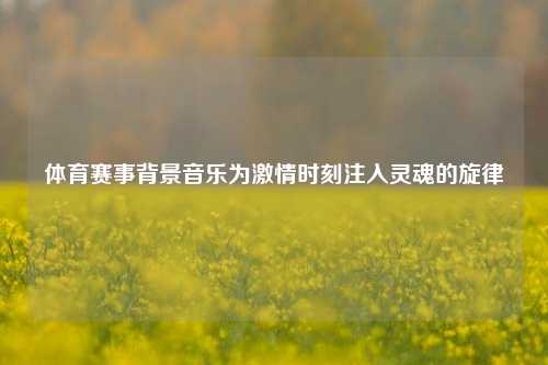 体育赛事背景音乐为激情时刻注入灵魂的旋律