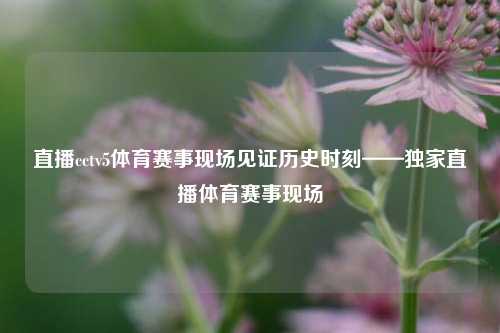 直播cctv5体育赛事现场见证历史时刻——独家直播体育赛事现场