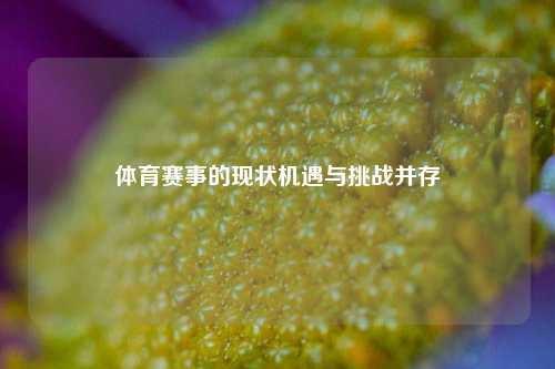 体育赛事的现状机遇与挑战并存