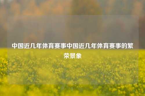 中国近几年体育赛事中国近几年体育赛事的繁荣景象