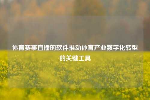 体育赛事直播的软件推动体育产业数字化转型的关键工具
