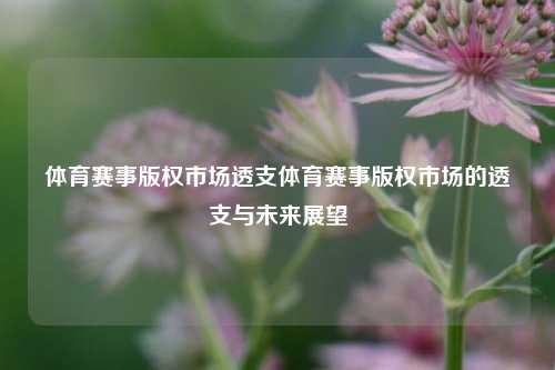体育赛事版权市场透支体育赛事版权市场的透支与未来展望
