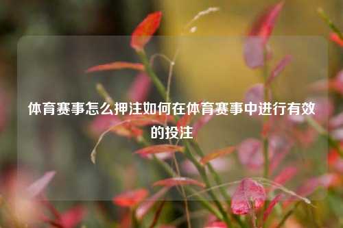 体育赛事怎么押注如何在体育赛事中进行有效的投注