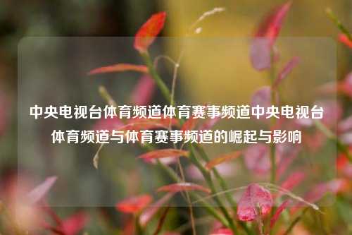 中央电视台体育频道体育赛事频道中央电视台体育频道与体育赛事频道的崛起与影响