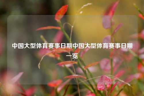 中国大型体育赛事日期中国大型体育赛事日期一览