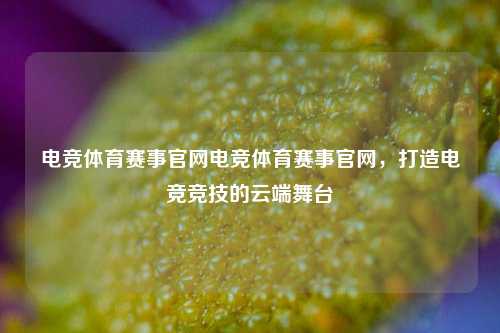 电竞体育赛事官网电竞体育赛事官网，打造电竞竞技的云端舞台