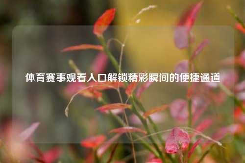 体育赛事观看入口解锁精彩瞬间的便捷通道