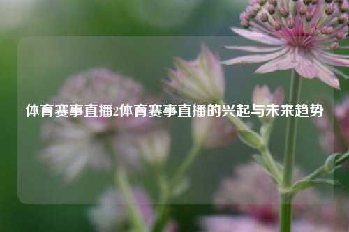 体育赛事直播2体育赛事直播的兴起与未来趋势
