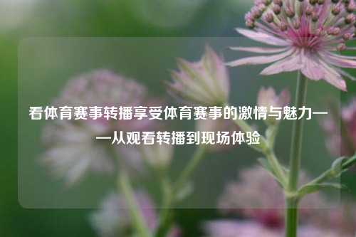 看体育赛事转播享受体育赛事的激情与魅力——从观看转播到现场体验