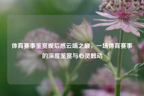 体育赛事鉴赏观后感云端之巅，一场体育赛事的深度鉴赏与心灵触动