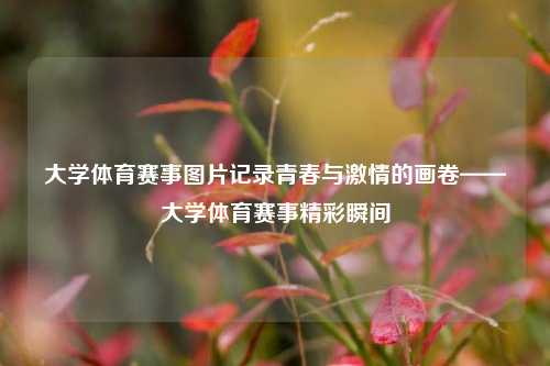 大学体育赛事图片记录青春与激情的画卷——大学体育赛事精彩瞬间